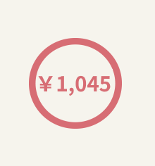 月額1,045円（税込）から